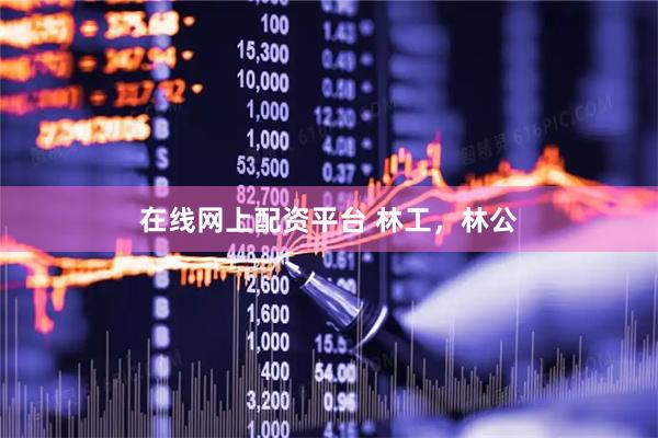 在线网上配资平台 林工，林公